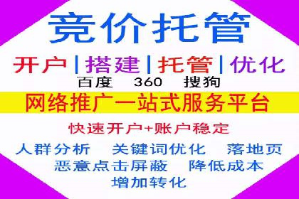 网络推广与竞价策略实战案例